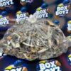 Golden Teacher Mushroom for sale now in stock online at best prices, Buy Sugar Rush Cart available now for sale at real Boxboyzstore online