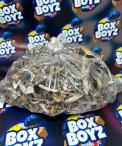 Golden Teacher Mushroom for sale now in stock online at best prices, Buy Sugar Rush Cart available now for sale at real Boxboyzstore online