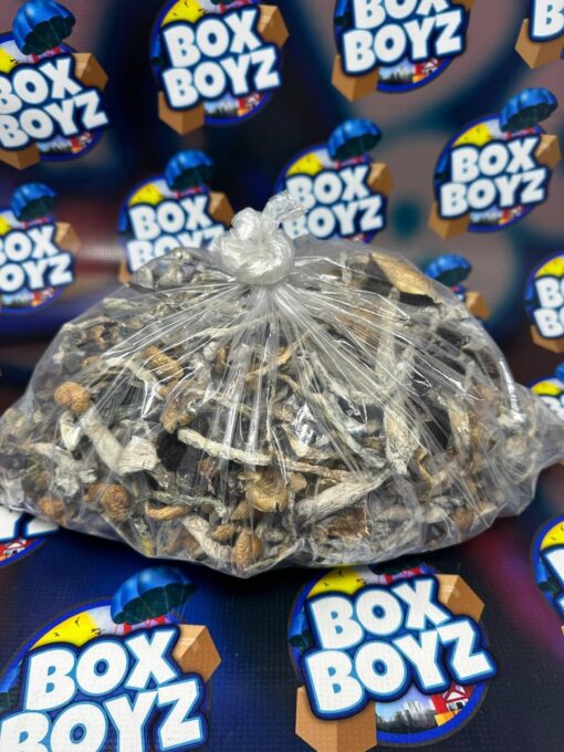 Golden Teacher Mushroom for sale now in stock online at best prices, Buy Sugar Rush Cart available now for sale at real Boxboyzstore online