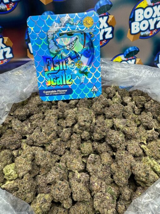 Fishscale Strain available for sale now at good discount prices, Buy Fishscale exotics weed for sale in stock, anti gravity cartridges, better call saul