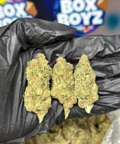 Larry Bird 33 strain for sale in stock at best discount rates, Fast shipping and delivery process, customer care is priority at boxboyz, leche strain