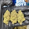 Slurty 3 Weed Strain for sale in stock online, Boxboyzstore is the best supplier of exotics weed annd live resin disposable vape available in stock