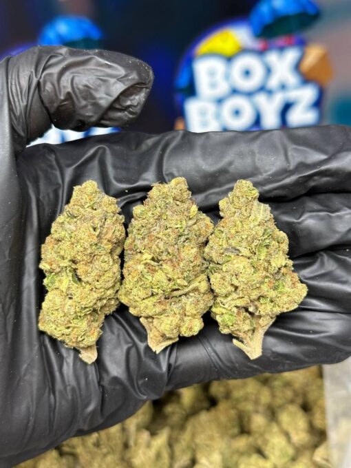 Slurty 3 Weed Strain for sale in stock online, Boxboyzstore is the best supplier of exotics weed annd live resin disposable vape available in stock