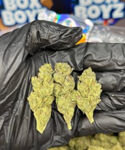 Gelonade Weed Strain for sale now in stock at best discount prices, Buy frozen berries strain, frozen berries strain available for sale in stock