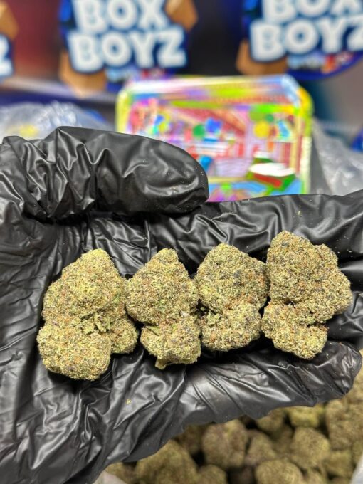 Red Bubblegum Strain for sale in stock at good prices, Buy bubble gum dulce strain for sale available online, box boyz store, broken tape strain