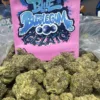 Blue Bubble Gum Gelato